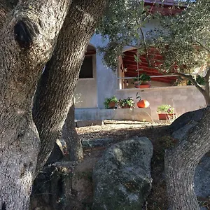  Ferienhaus S'umbra De S'ozzastru